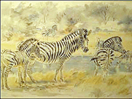 Zebras by Pat Wiles