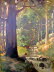 Hogsback_stream_oil_60x54