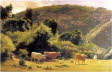 Kamaehs_Farm_oil