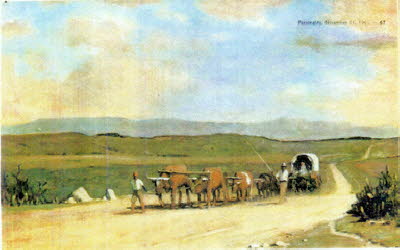 Ox_wagon_Panorama