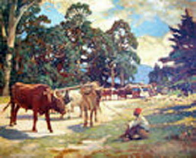 Oxen